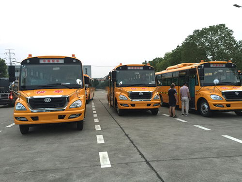 2022款华新10.5米中小学生专用校车 性价比与运营服务全解析